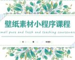 闪闪壁纸号运营教程,抓住图文风口,快速吸粉变现-赚金金-技能学习分享