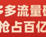 阿杰·拼多多流量破局:如何打黑标,爆款的思路,拼多多流量框架,快速抢占百亿流量-赚金金-技能学习分享