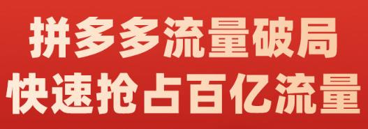 阿杰·拼多多流量破局:如何打黑标,爆款的思路,拼多多流量框架,快速抢占百亿流量-赚金金-技能学习分享