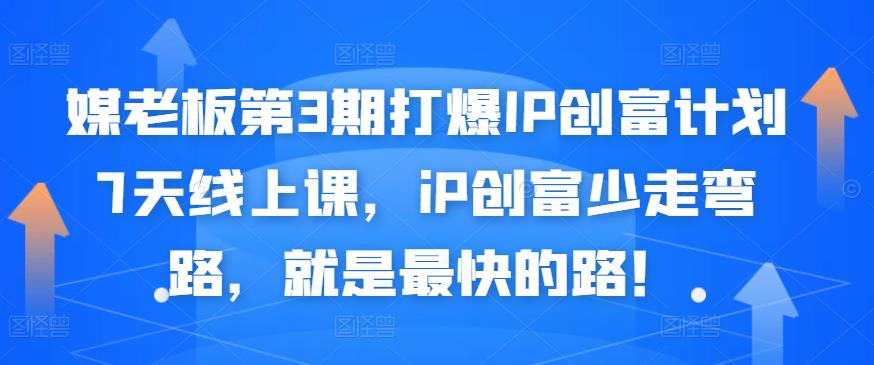 媒老板第3期打爆IP创富计划7天线上课,iP创富少走弯路,就是最快的路!-赚金金-技能学习分享