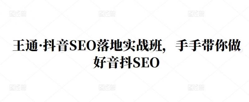 王通·抖音SEO落地实战班,手手带你做好音抖SEO-赚金金-技能学习分享