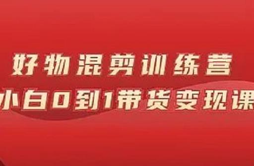 万三好物混剪训练营:小白0到1带货变现课-赚金金-技能学习分享