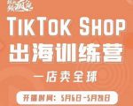 疯人院:TikTok Shop出海训练营(一店卖全球),出海抢占全球新流量-赚金金-技能学习分享