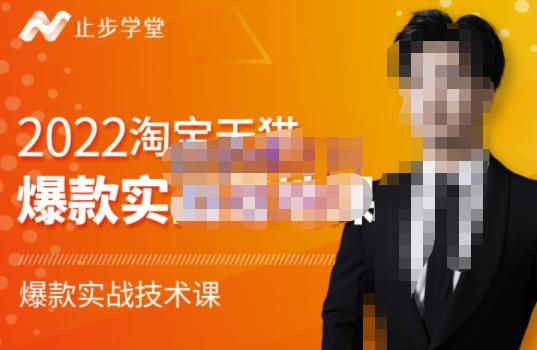 止步学堂·2022淘宝天猫爆款打造系列课-比克,爆款实战落地教程价值1980元-赚金金-技能学习分享
