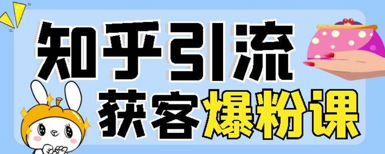 2022船长知乎引流+无脑爆粉技术:每一篇都是爆款,不吹牛,引流效果杠杠的-赚金金-技能学习分享