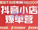 推易电商·2022年抖音小店爆单营，不直播、不拍短视频、日出1000单，暴力玩法-赚金金-技能学习分享