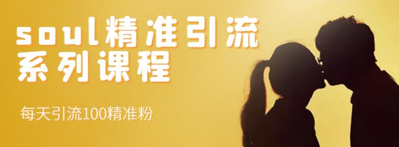 soul精准引流系列课程,每天引流100精准粉-赚金金-技能学习分享