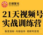 张萌21天视频号实战训练营，裂变涨粉、内容创作、视频号变现 价值298元-赚金金-技能学习分享