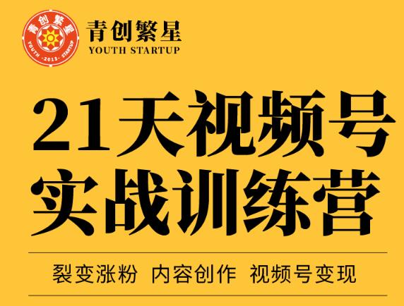 张萌21天视频号实战训练营,裂变涨粉、内容创作、视频号变现 价值298元-赚金金-技能学习分享