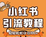 小红书运营引流全系列课程，每天引流100精准粉-赚金金-技能学习分享