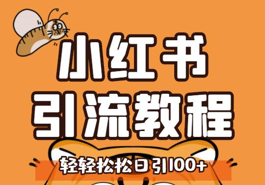 小红书运营引流全系列课程,每天引流100精准粉-赚金金-技能学习分享
