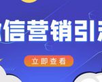 微信营销策划引流系列课程,每天引流100精准粉-赚金金-技能学习分享