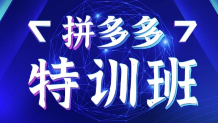 星雪教育·拼多多基础班+进阶班+突破班,用系统的学习模式快速改变现状价值3580元-赚金金-技能学习分享