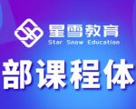 星雪教育淘系高级班,更全的运营提升方案,零基础由浅入深,店铺最新玩法-赚金金-技能学习分享