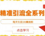 闲鱼精准引流全系列课程,每天引流100精准粉【视频课程】-赚金金-技能学习分享