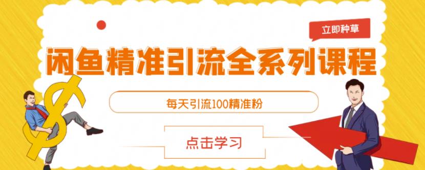 闲鱼精准引流全系列课程,每天引流100精准粉【视频课程】-赚金金-技能学习分享