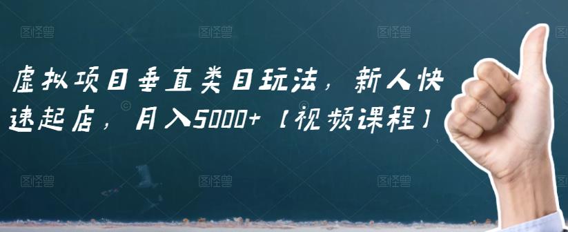 虚拟项目垂直类目玩法,新人快速起店,月入5000+【视频课程】-赚金金-技能学习分享
