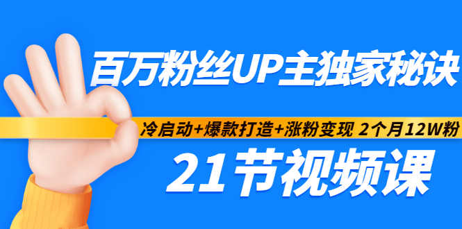 百万粉丝UP主独家秘诀:冷启动+爆款打造+涨粉变现2个月12W粉(21节视频课)-赚金金-技能学习分享