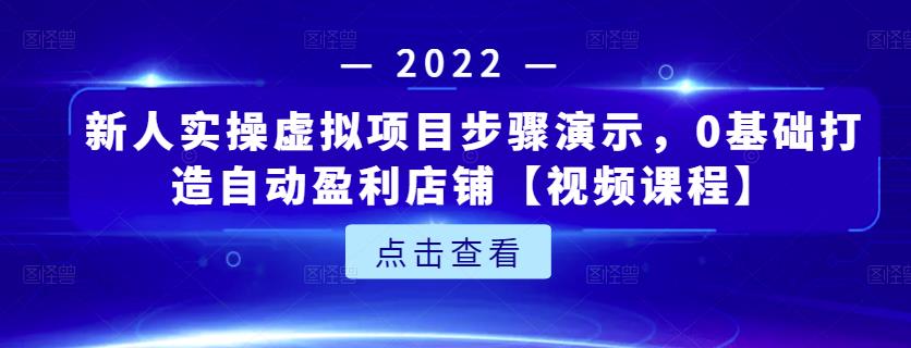 新人实操虚拟项目步骤演示，0基础打造自动盈利店铺【视频课程】-赚金金-技能学习分享