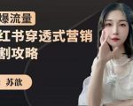 苏歆:小红书穿透式营销收割攻略,引爆流量,助你玩转小红书-赚金金-技能学习分享
