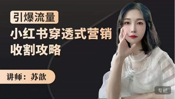 苏歆:小红书穿透式营销收割攻略,引爆流量,助你玩转小红书-赚金金-技能学习分享