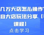 月入几万大店怎么操作?虚拟项目大店玩法分享【视频课程】-赚金金-技能学习分享