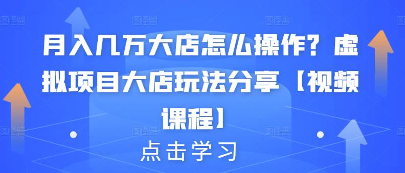 月入几万大店怎么操作?虚拟项目大店玩法分享【视频课程】-赚金金-技能学习分享