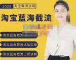 2022淘宝蓝海截流攻略,淘宝蓝海截流选品上货实操讲解-赚金金-技能学习分享