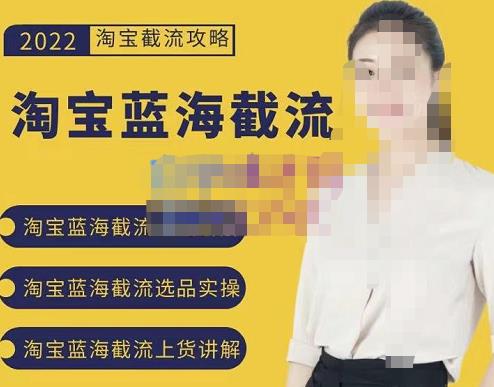 2022淘宝蓝海截流攻略,淘宝蓝海截流选品上货实操讲解-赚金金-技能学习分享