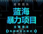 引流哥蓝海暴力躺赚项目:无需发圈无需引流无需售后,每单赚50-500(教程+线报群)-赚金金-技能学习分享