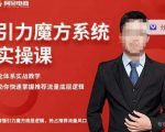 阿呆-引力魔方系统实操课,全体系实战教学,助你快速掌握推荐流量底层逻辑-赚金金-技能学习分享
