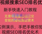 宋老师·短视频搜索SEO优化,教你10分钟创作一个短视频,三天排名上第一-赚金金-技能学习分享