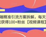 高端精准引流方案拆解,每天轻松获得100+粉丝【视频课程】-赚金金-技能学习分享