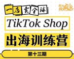TikTokShop出海训练营(第十三期),打开全球流量新思维,出海抢占全球新流量,一店卖全球-赚金金-技能学习分享