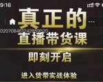 李扭扭超硬核的直播带货课,零粉丝快速引爆抖音直播带货-赚金金-技能学习分享