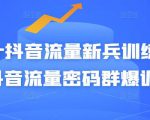 Peter抖音流量新兵训练营-破解抖音流量密码群爆训练营(新兵)-赚金金-技能学习分享