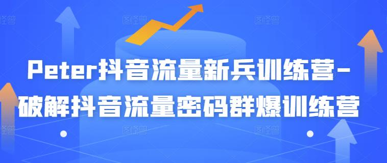 Peter抖音流量新兵训练营-破解抖音流量密码群爆训练营(新兵)-赚金金-技能学习分享