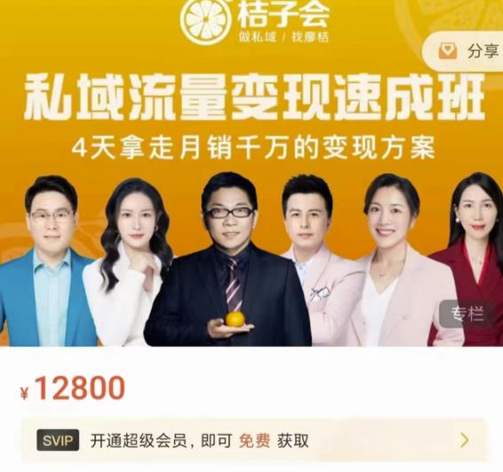 桔子会·私域流量变现速成班,4天拿走月销千万的变现方案 价值12800元-赚金金-技能学习分享