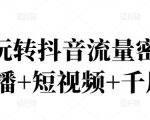 2022玩转抖音流量密码,(直播+短视频+千川)-赚金金-技能学习分享