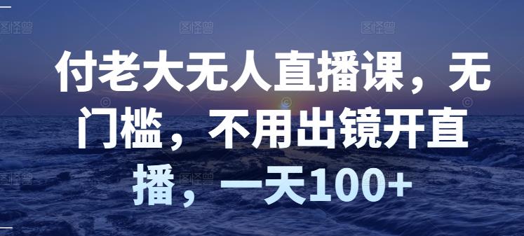 付老大无人直播课,无门槛,不用出镜开直播,一天100+-赚金金-技能学习分享