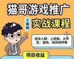 猫哥·游戏推广实战课程,单视频收益达6位数,从0到1成为优质游戏达人-赚金金-技能学习分享
