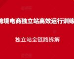 跨境电商独立站高效运行训练营,独立站全链路拆解-赚金金-技能学习分享