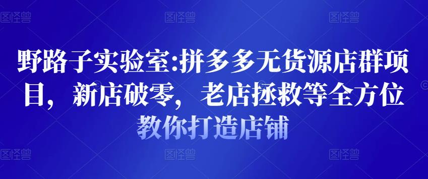 野路子实验室:拼多多无货源店群项目,新店破零,老店拯救等全方位教你打造店铺-赚金金-技能学习分享