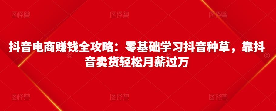 抖音电商赚钱全攻略:零基础学习抖音种草,靠抖音卖货轻松月薪过万-赚金金-技能学习分享