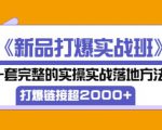 凌童《新品打爆实战班》,一套完整的实操实战落地方法,打爆链接超2000+(28节课)-赚金金-技能学习分享