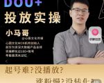 小马哥-Dou+投放实操课,抖加投放,随心推,付费起号逻辑,打破低播放转化-赚金金-技能学习分享