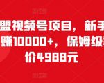猎人联盟视频号项目,新手0基础轻松月赚10000+,保姆级教程原价4988元-赚金金-技能学习分享
