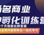杨名商业IP孵化训练营，从商业到内容到转化一站式学 价值5980元-赚金金-技能学习分享