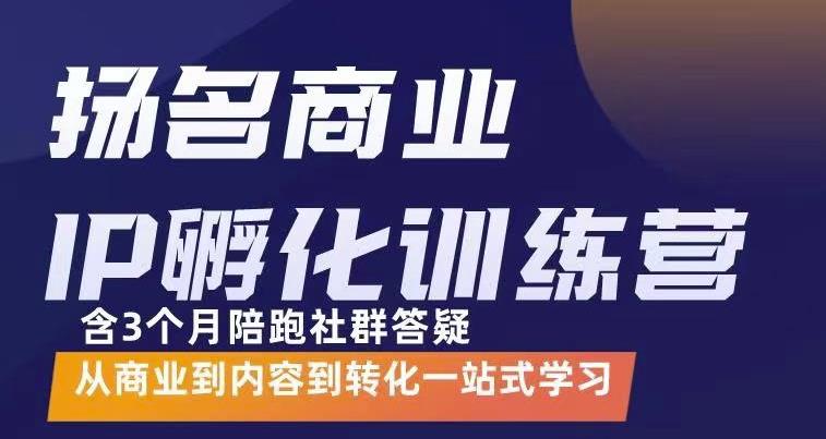 杨名商业IP孵化训练营,从商业到内容到转化一站式学 价值5980元-赚金金-技能学习分享