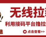 最新接码无限拉新项目，利用接码平台赚拉新平台差价，轻松日赚500+-赚金金-技能学习分享